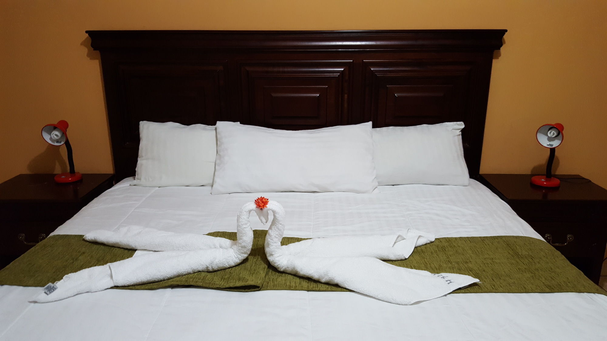 Apart Hotel Pico Bonito ラ・セイバ エクステリア 写真